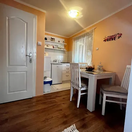 Simona 维尔蒂尼克